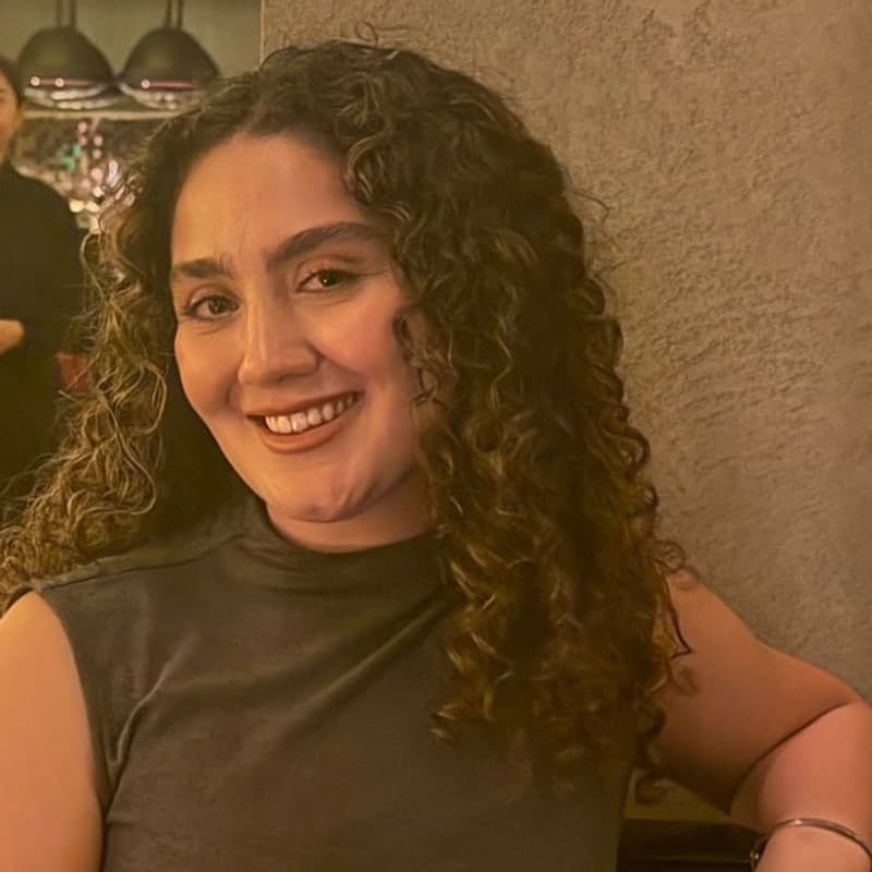Dr Parmis Vafapour